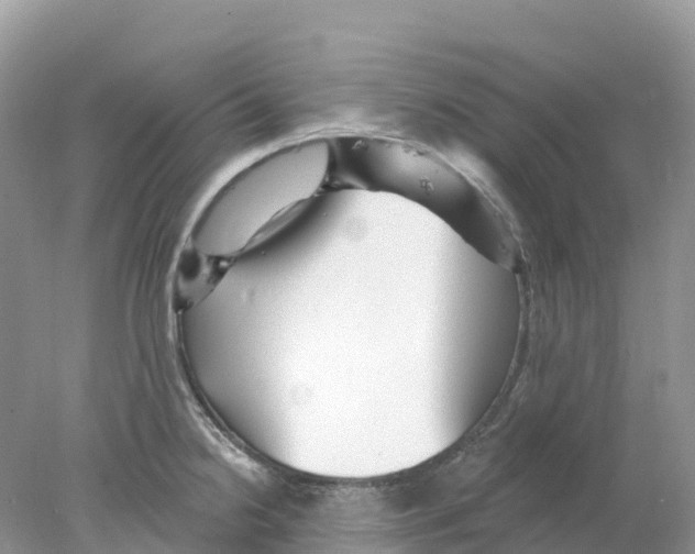 X0000078031238200611251547