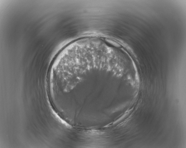 X0000078031239200611251547