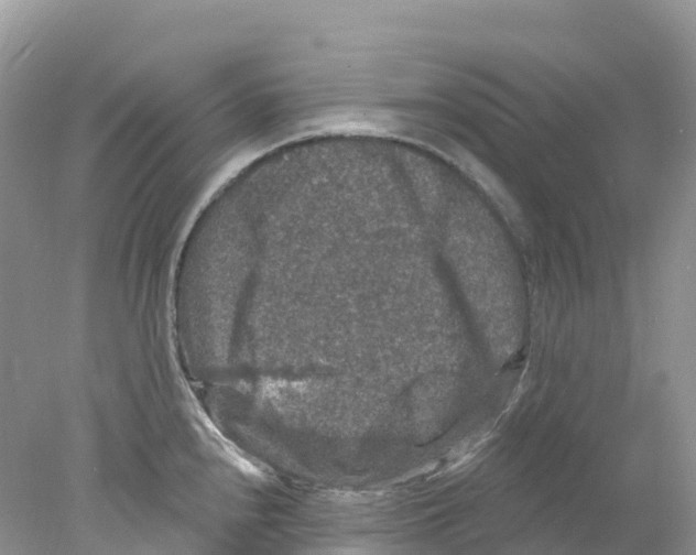 X0000078031240200611251547