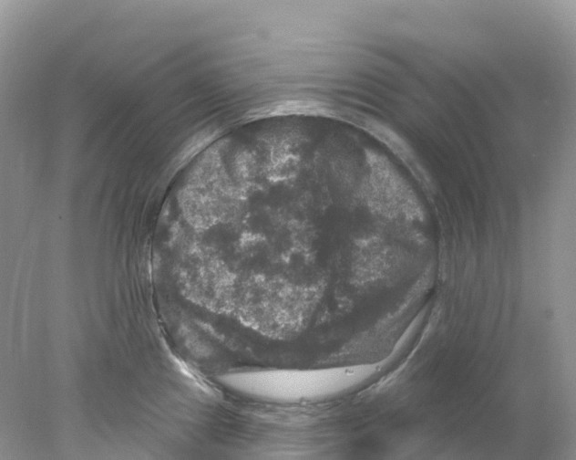 X0000078031241200611251547