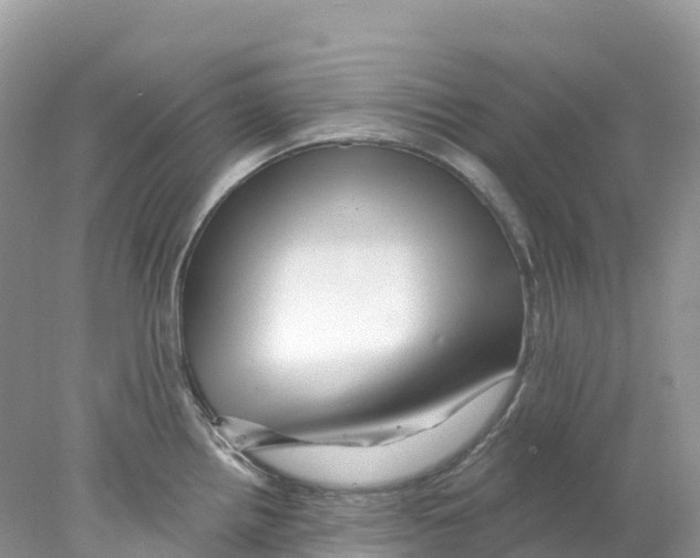 X0000078031242200611251547