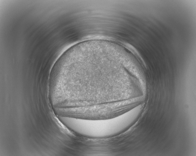 X0000078031244200611251547