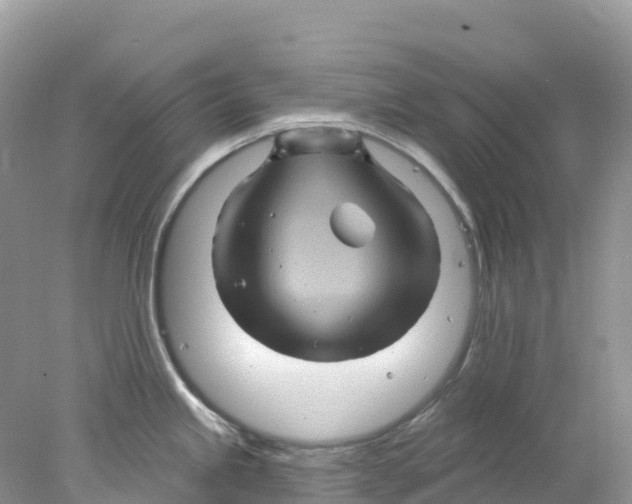 X0000078031245200611251547