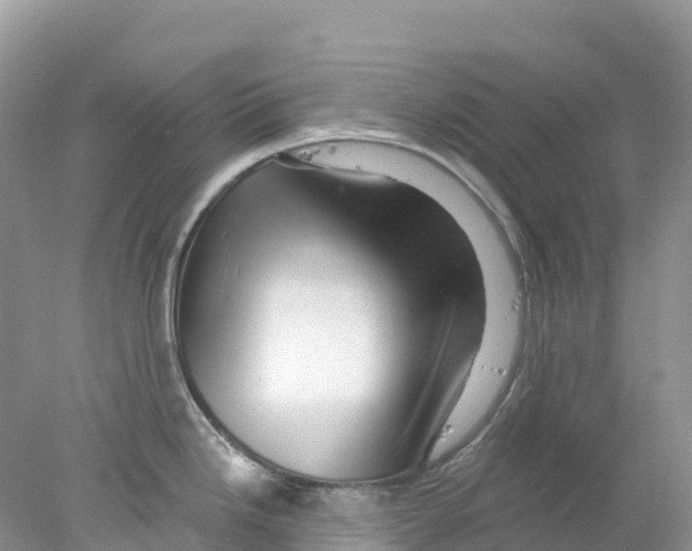 X0000078031246200611251547