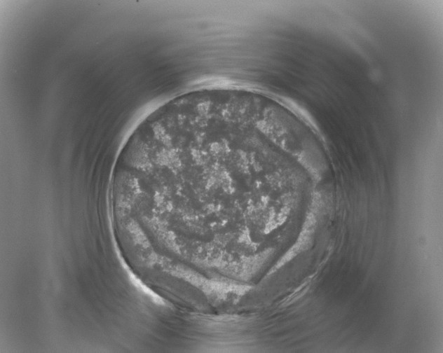 X0000078031247200611251547