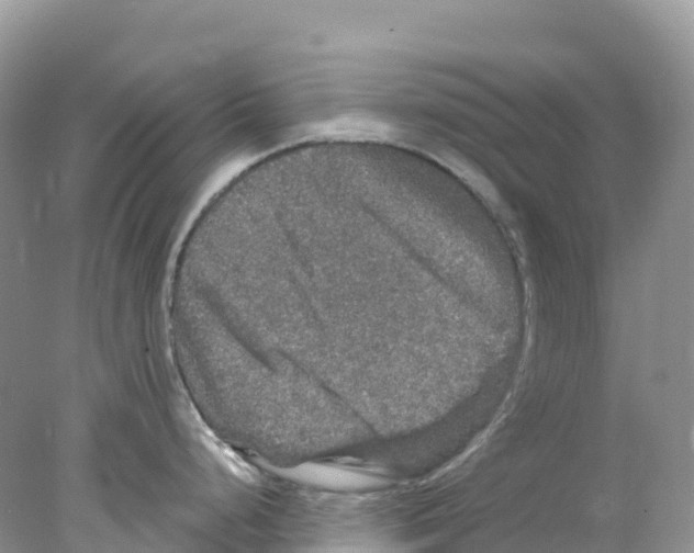 X0000078031248200611251547