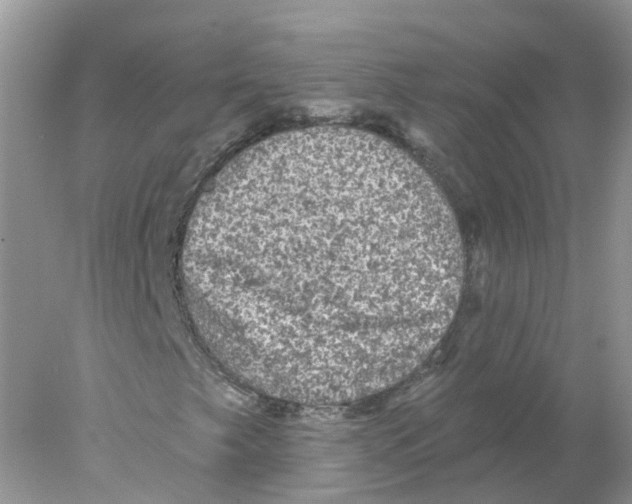 X0000078031249200611251546