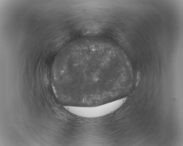 X0000078031250200611251546