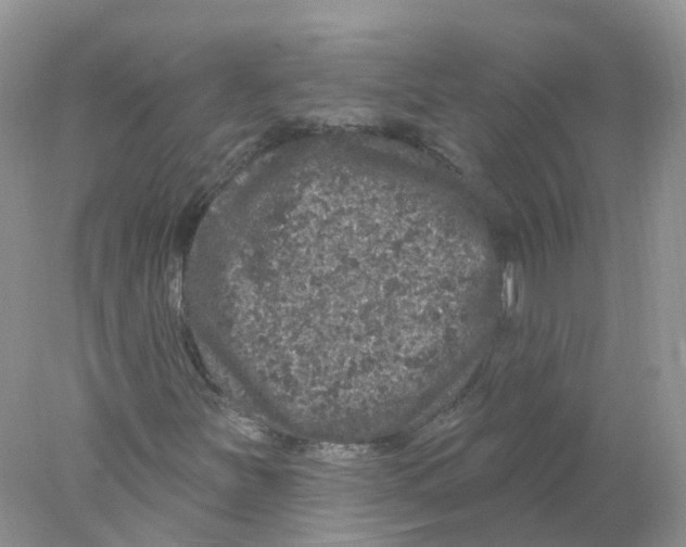 X0000078031251200611251546