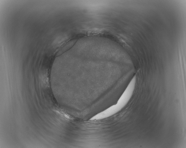 X0000078031252200611251546