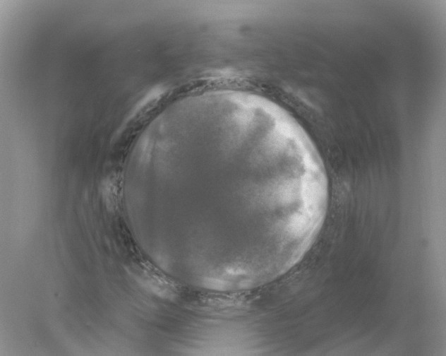 X0000078031254200611251546