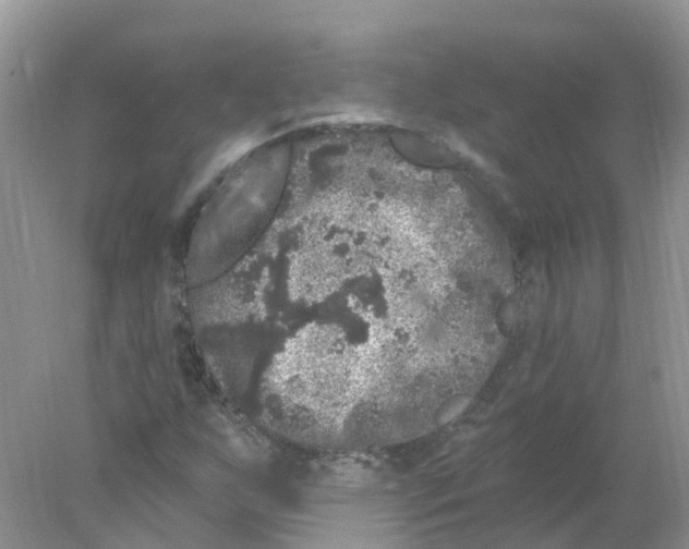 X0000078031255200611251546