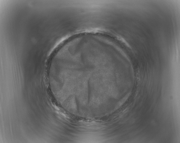 X0000078031256200611251546