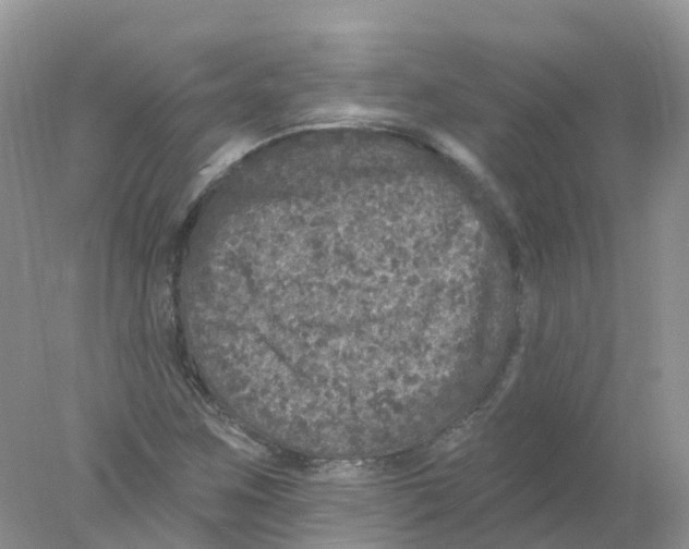 X0000078031259200611251546