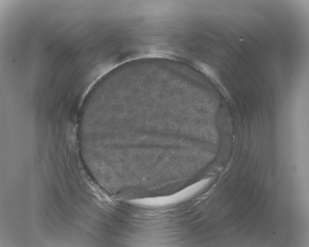 X0000078031260200611251546