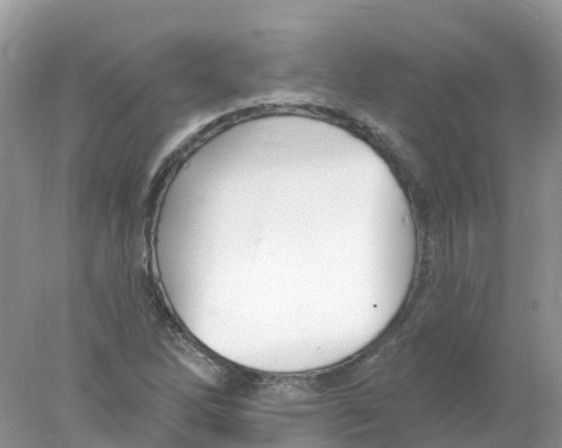 X0000078031262200611251546