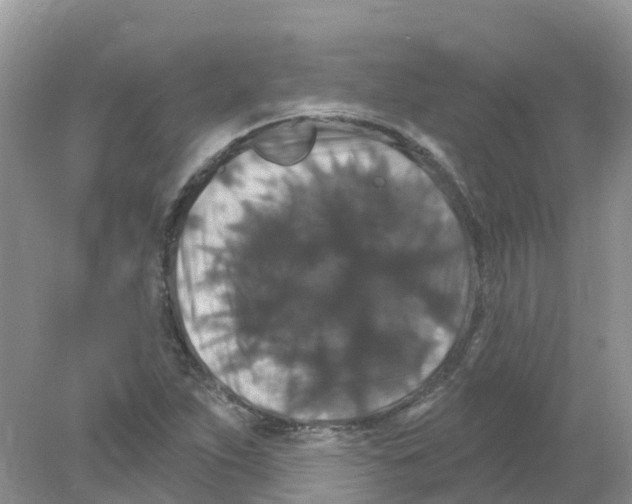 X0000078031263200611251546