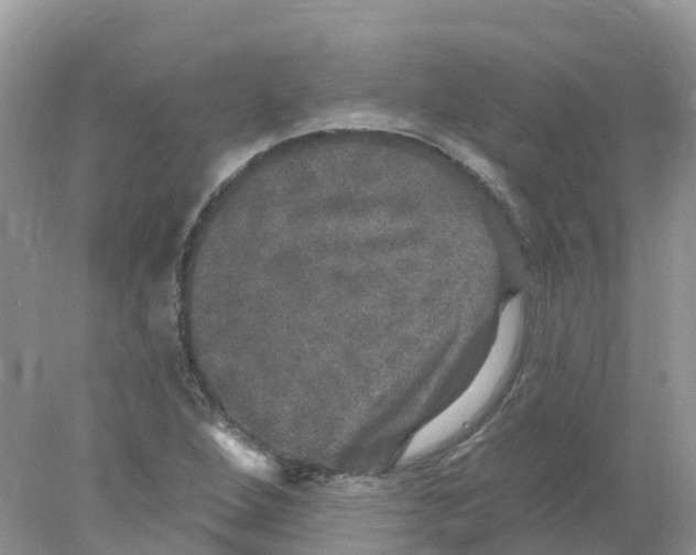 X0000078031264200611251546