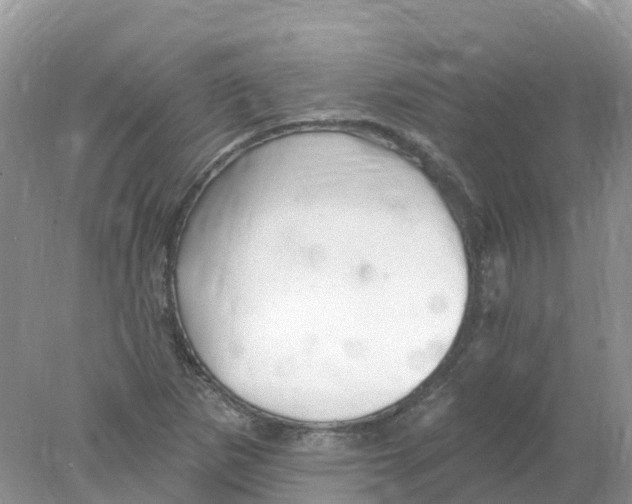 X0000078031265200611251546