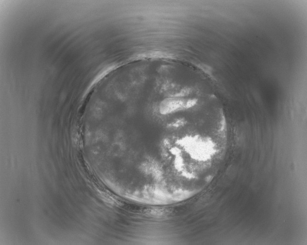 X0000078031266200611251546