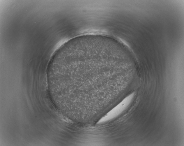 X0000078031267200611251546