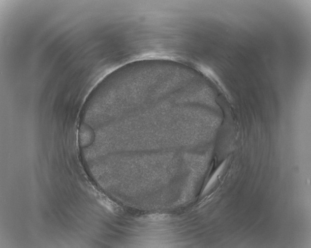 X0000078031268200611251546