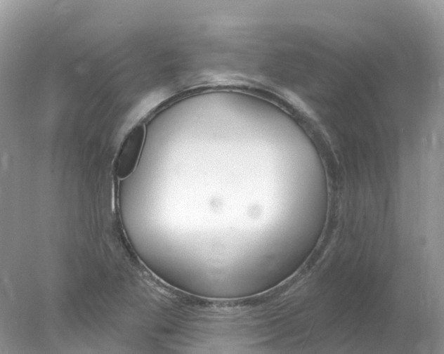 X0000078031269200611251546