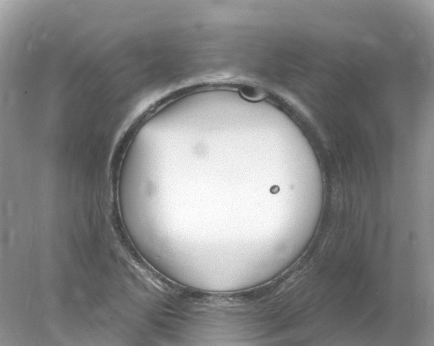 X0000078031270200611251546