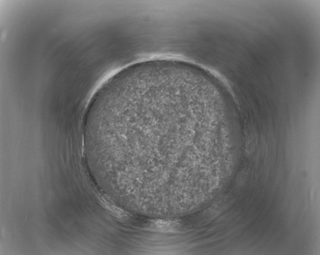 X0000078031271200611251546