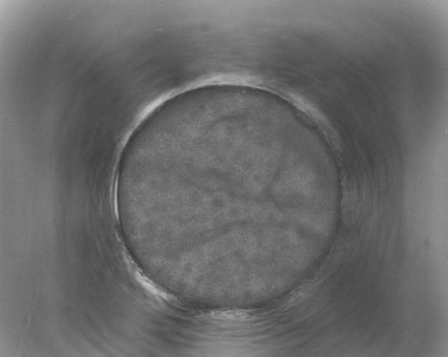 X0000078031272200611251546