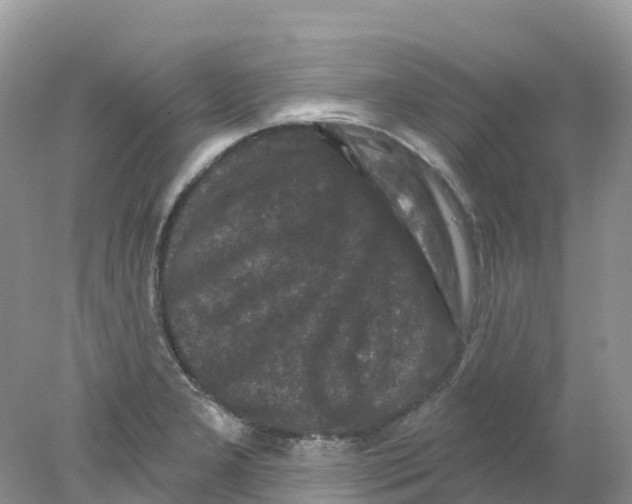 X0000078031277200611251546