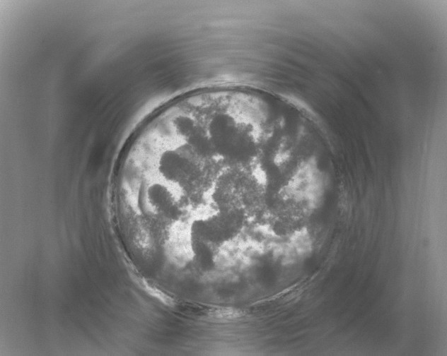 X0000078031278200611251546