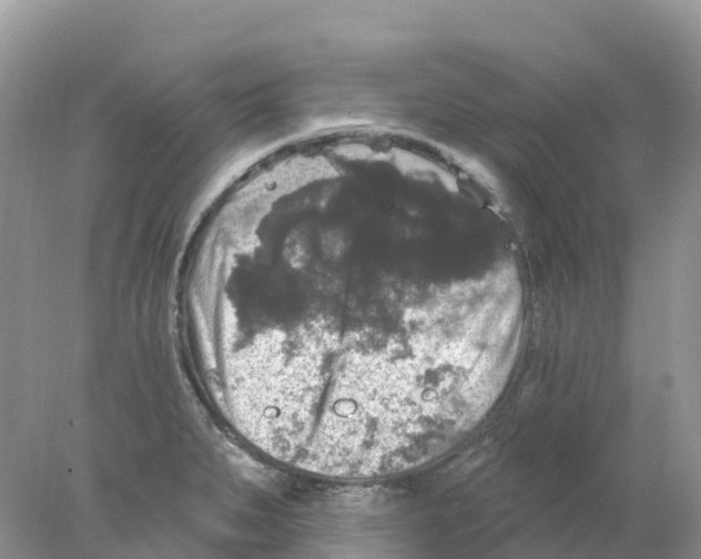 X0000078031279200611251546