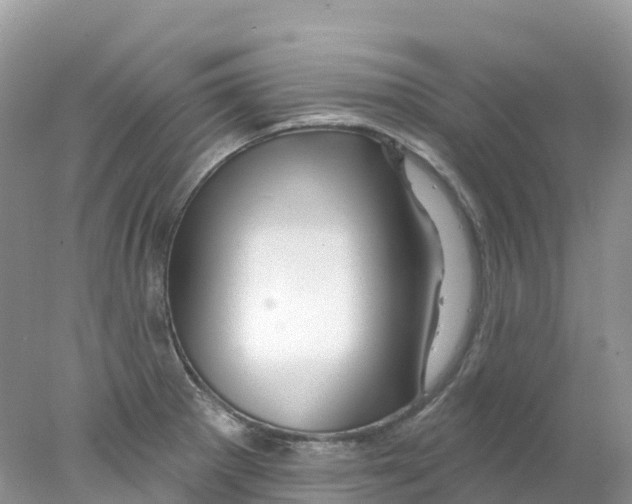 X0000078031281200611251546