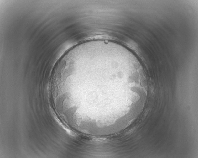 X0000078031282200611251546