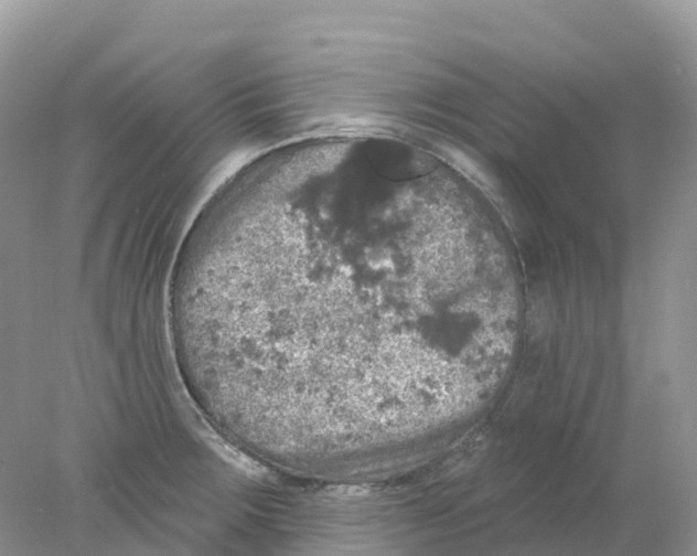 X0000078031283200611251546