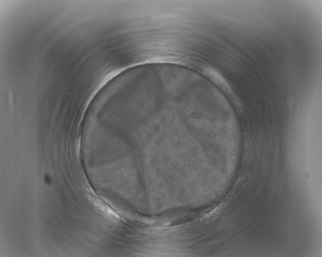 X0000078031284200611251546