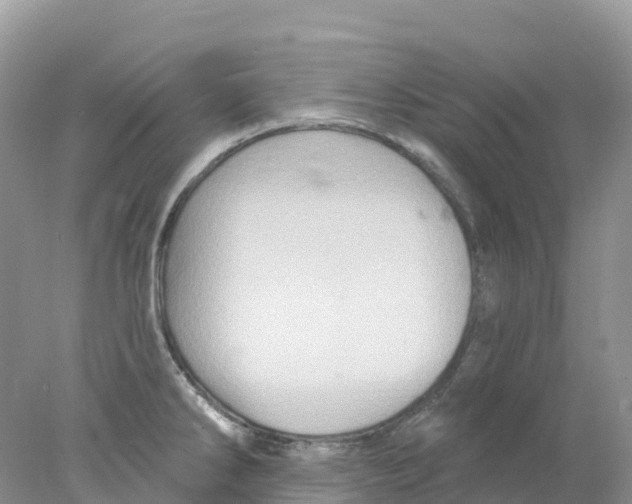 X0000078031286200611251546