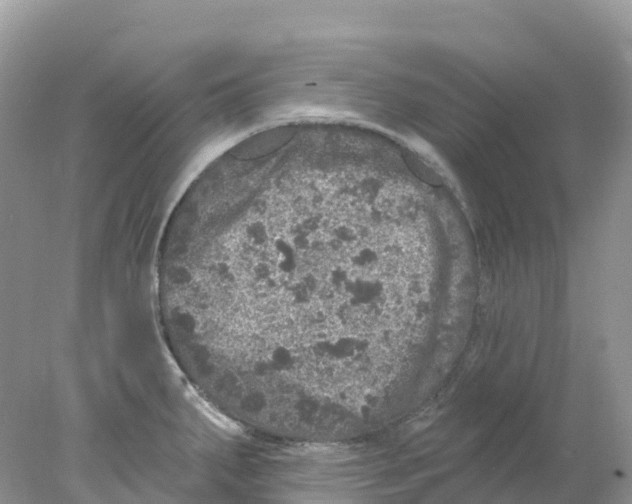 X0000078031287200611251546