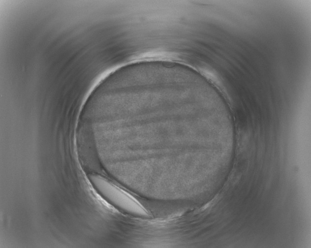 X0000078031288200611251546