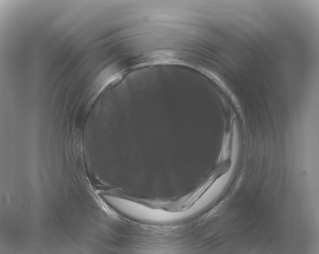 X0000078031289200611251546