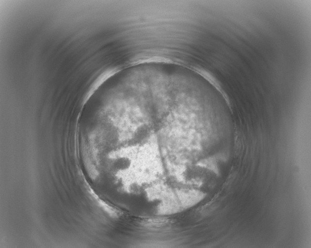 X0000078031290200611251546