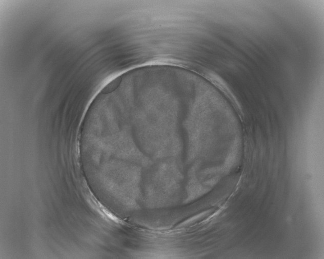 X0000078031292200611251546