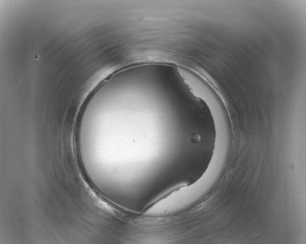 X0000078031293200611251546