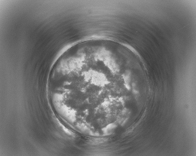 X0000078031294200611251546