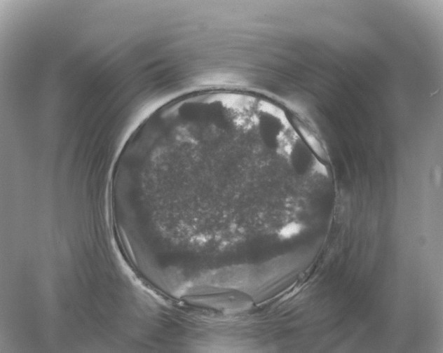 X0000078031295200611251546