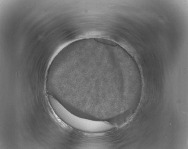 X0000078031296200611251546