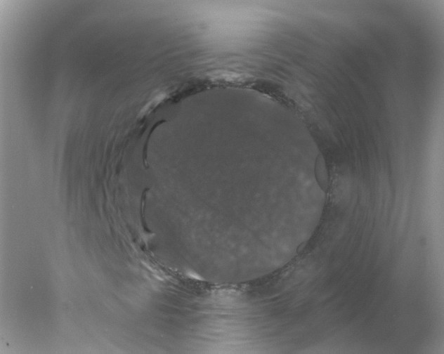 X0000078031297200611251545