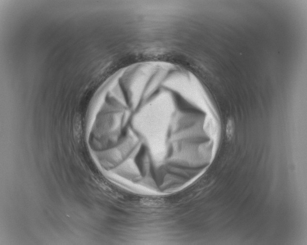 X0000078031299200611251545