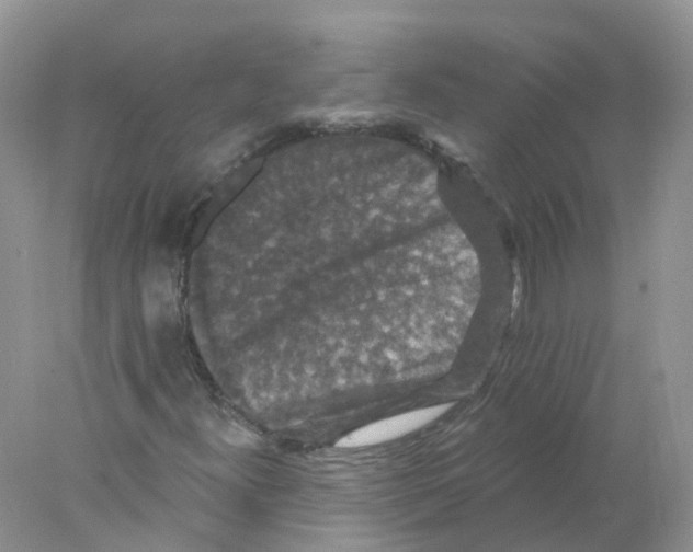 X0000078031300200611251545